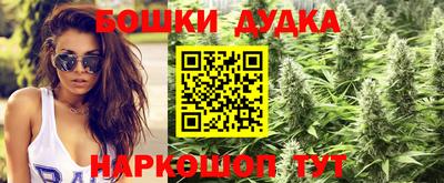 трава Кандалакша